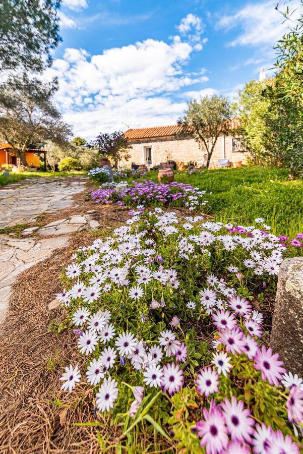 Villa Casa Lilliosa Campavaglio Exterior foto