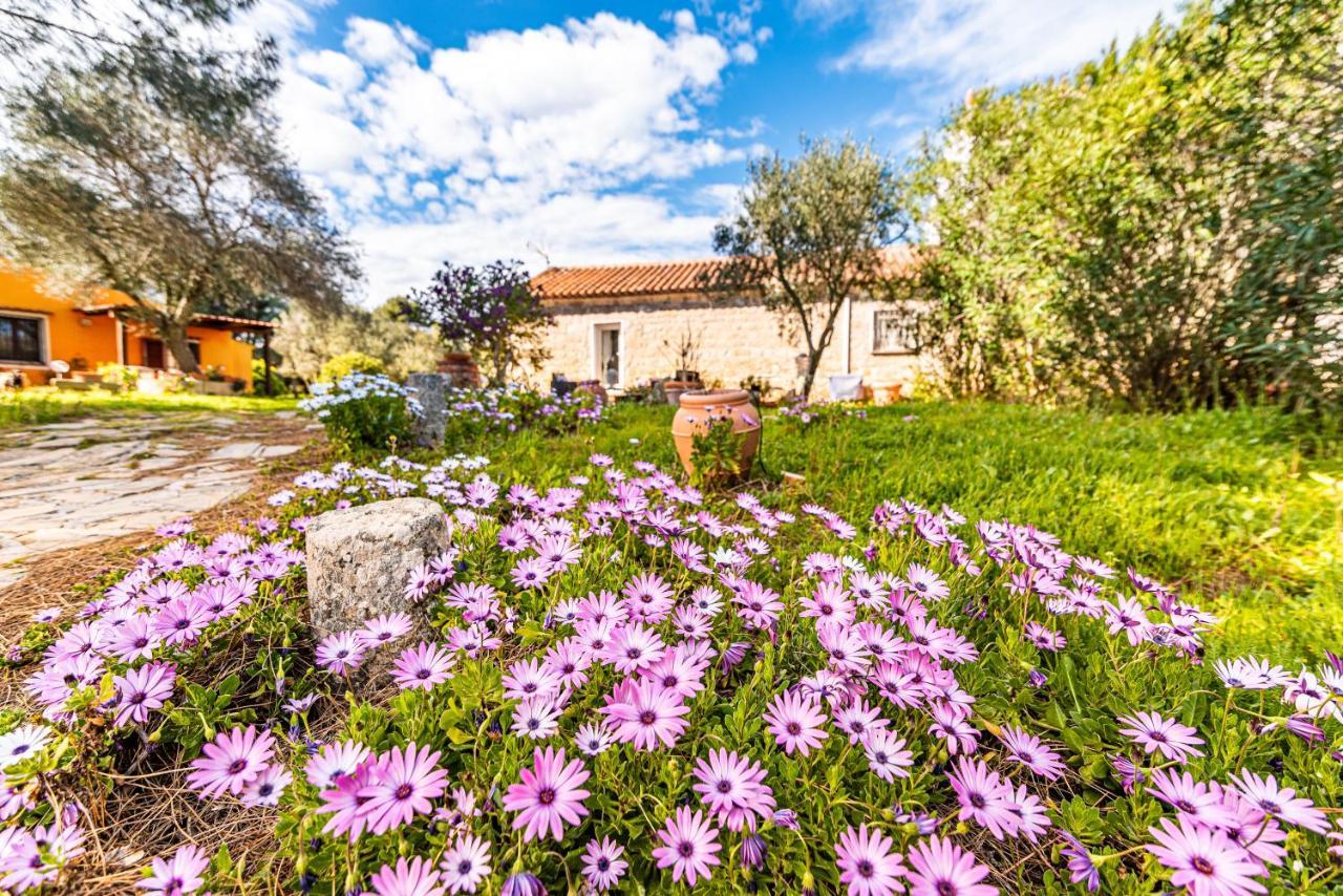 Villa Casa Lilliosa Campavaglio Exterior foto